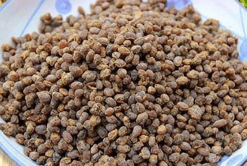 娱乐吃瓜酱吃苦,揭秘娱乐圈苦中带甜的幕后故事