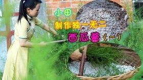 娱乐吃瓜酱阳光