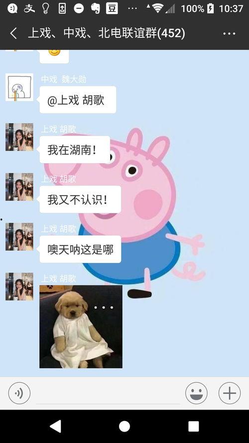 吃瓜微信群娱乐圈,吃瓜群里的幕后故事大揭秘