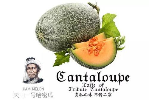 娱乐吃瓜号背景,吃瓜号背后的真相大揭秘