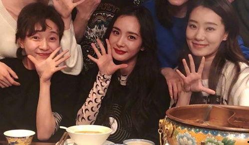 4月娱乐圈吃瓜,明星秘闻大揭秘