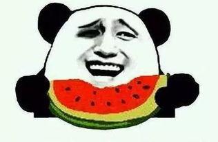 喜喜吃瓜娱乐,揭秘娱乐圈幕后故事，带你领略明星真实生活