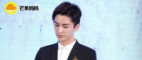 娱乐陈晓吃瓜图片大全集,娱乐圈独家图片大揭秘