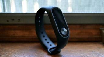 娱乐吃瓜戴手环,揭秘明星幕后生活