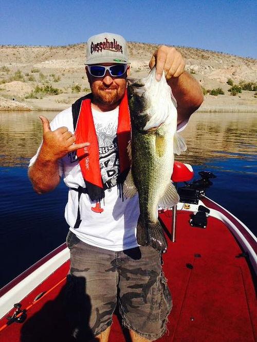 娱乐吃瓜钓鱼视频下载